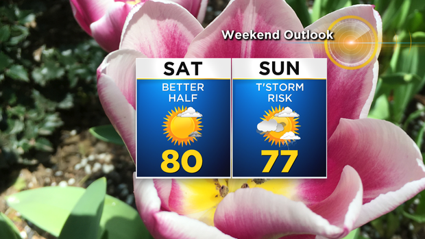 Nu_Tu_Weekend_Planner 