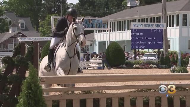 devon-horse-show.jpg 