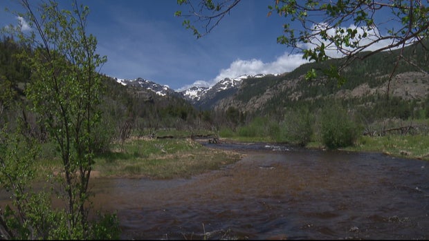 FREE FISHING WEEKEND_frame_1868