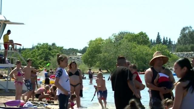 beals-point-sunbathers.jpg 