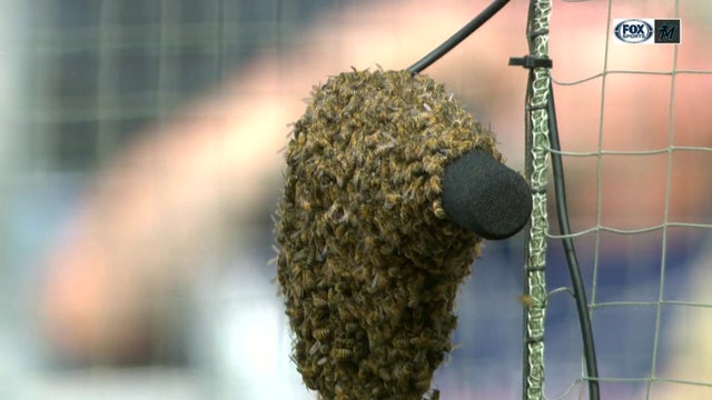 23 vo marlins padres su_WFOR0T7R 