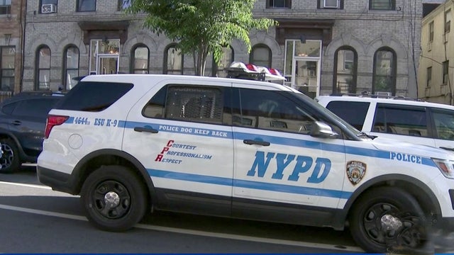 nypdcar.jpg 