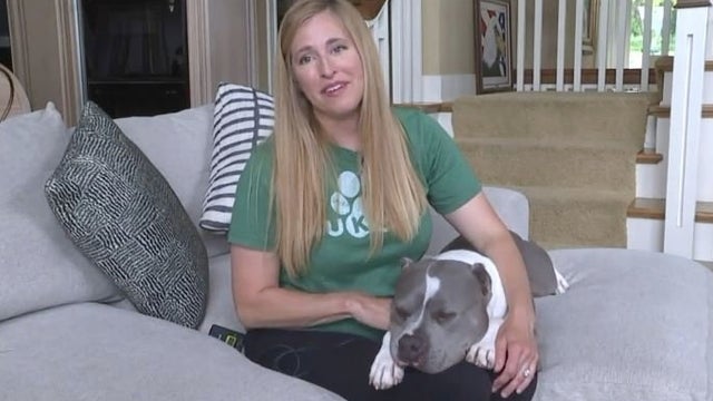 luckydog1.jpg 