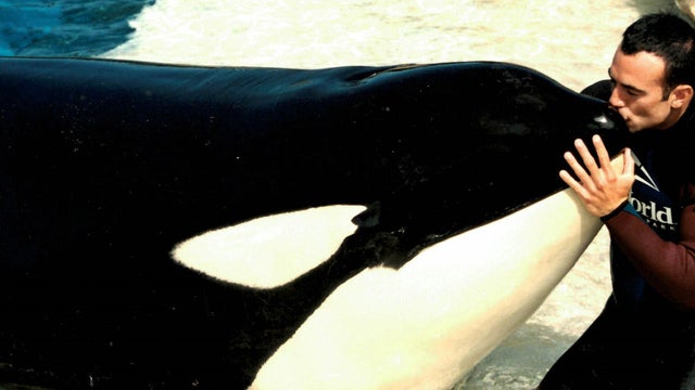 seaworld-hargrove.jpg 