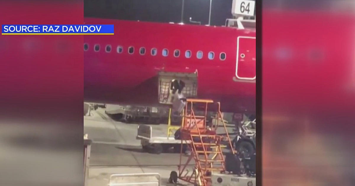 Video: Baggage Handler Spotted Tossing Luggage Out Of Plane At LAX