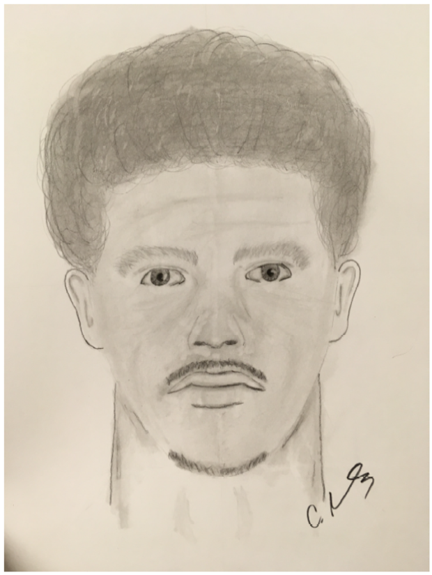 Attempted Abduction 1 (sketch of man in back of van, from Lakewood PD) 