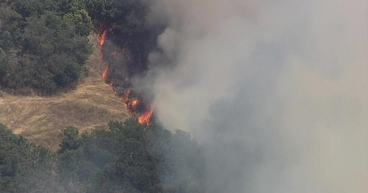 Firefighters Stop Forward Progress On 4-Alarm Wildfire In Solano County ...