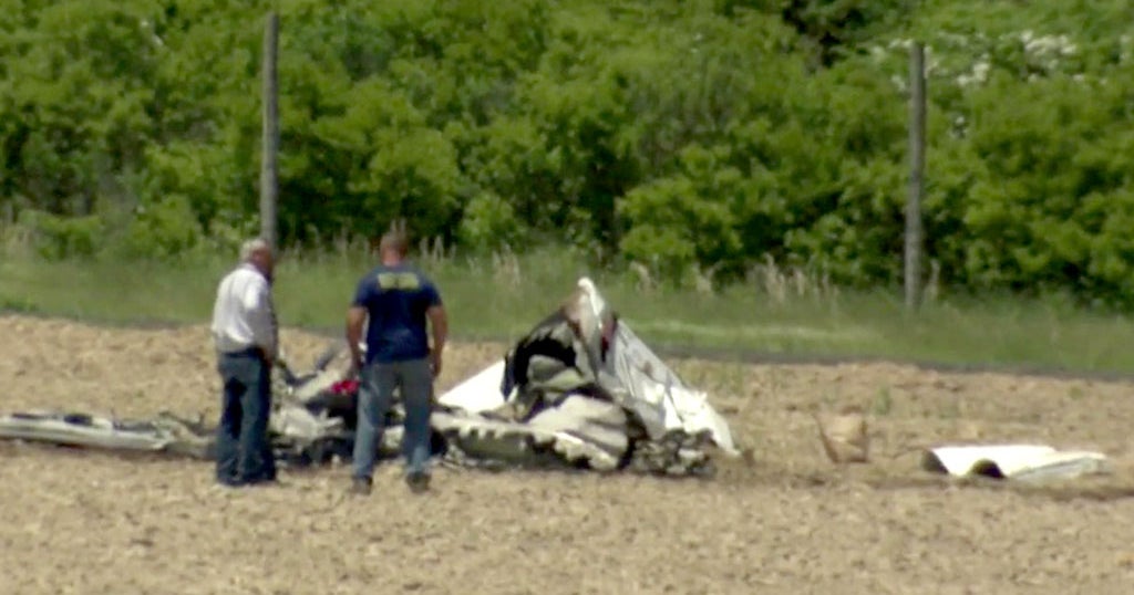 2 Killed In Small Plane Crash In Southhold; Dog On Board Somehow ...