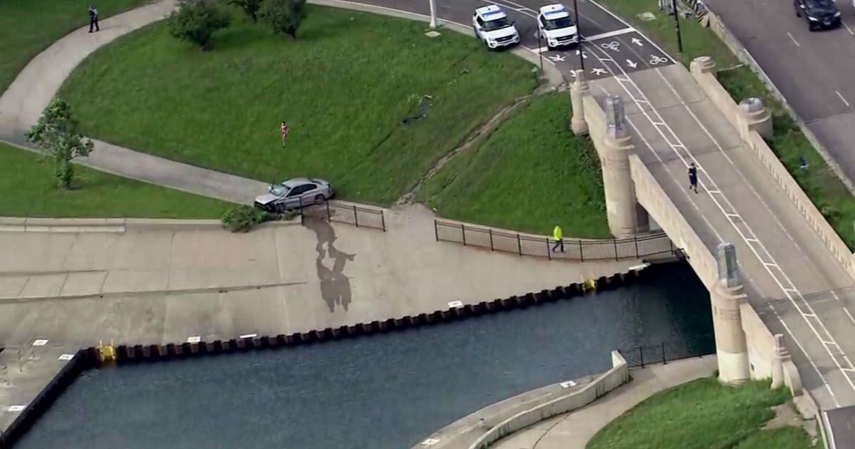 Man Critically Injured In Crash After Driving Off Lake Shore Drive ...