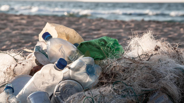 Plastic bottles on a beach 