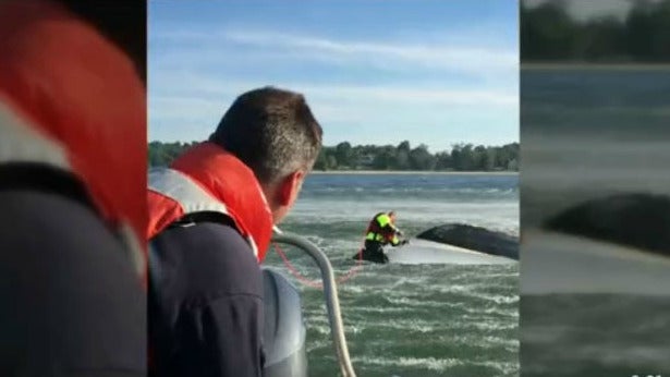 rescue2.jpg 