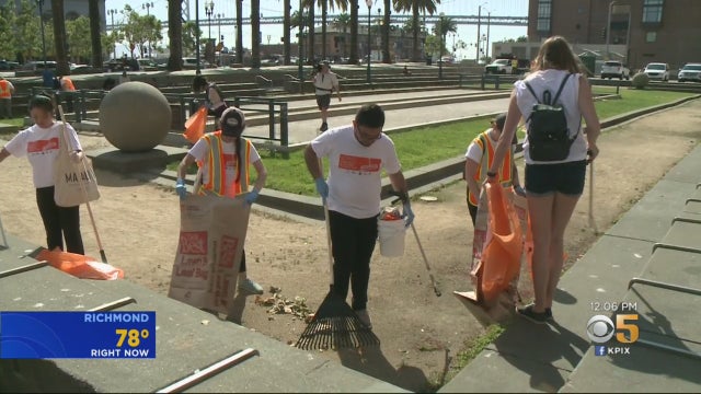 sf-clean-up.jpg 