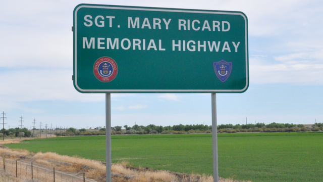 memorial-highway-207-1.1-closeup-from-colo-dept-of-correction.png 