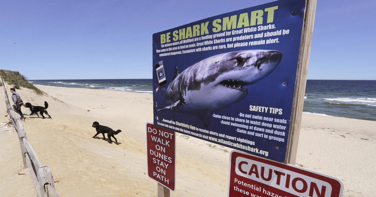 Shark sighting reported off NJ