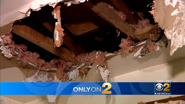 roof-collapse.jpg 