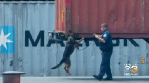 Massive Cocaine Bust: Over $1 Billion Worth Of Cocaine Seized In ...