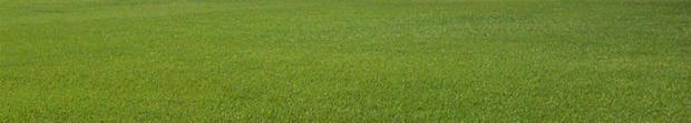 grassy-lawn-usda-620.jpg 