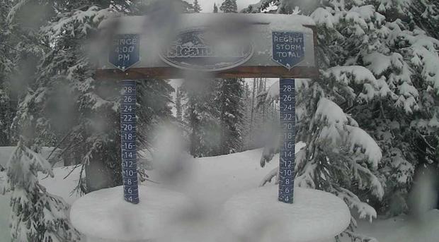 Steamboat Snow Stake 