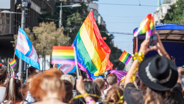 Crowd raising and holding rainbow gay flags during a Gay Pride. Trans flags can be seen as well in the background. The rainbow flag is one of the symbols of the LGBTQ community 