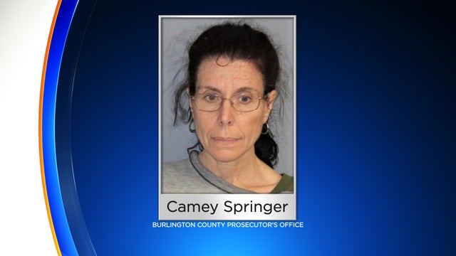 camey-springer-mugshot.jpg 