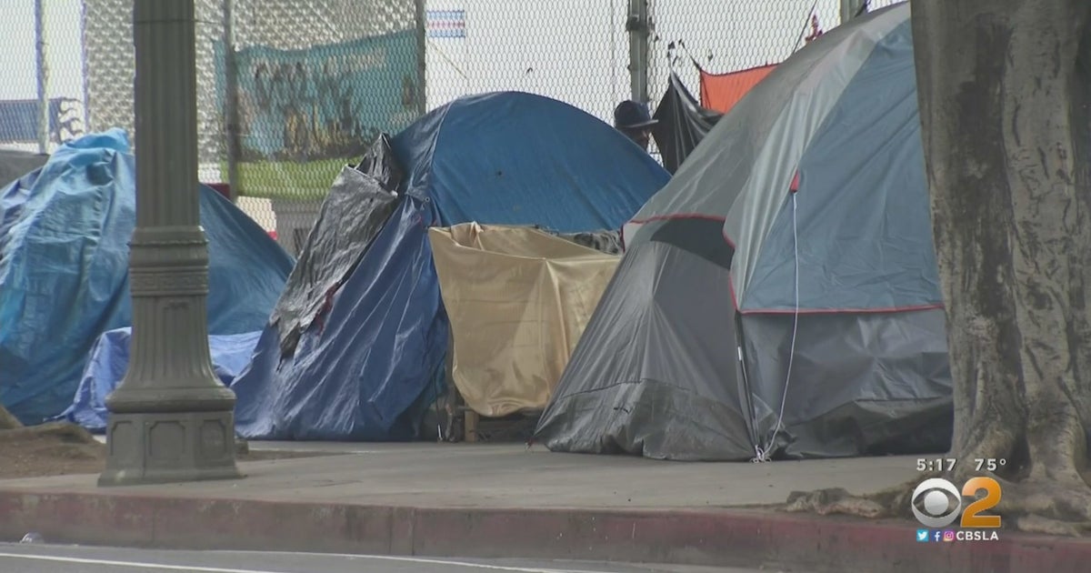 LA City Council Member Calls On State To 'Put Skin In The Game' And End ...