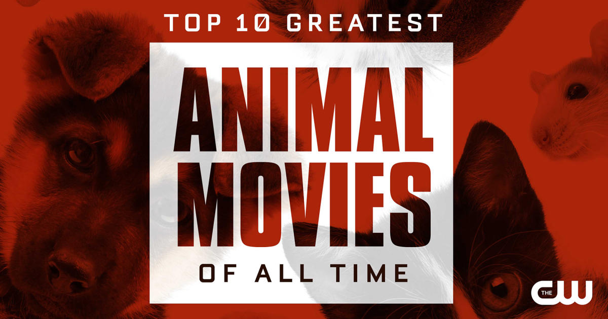 The Top 10 Greatest Animal Movies of All Time - CBS Detroit