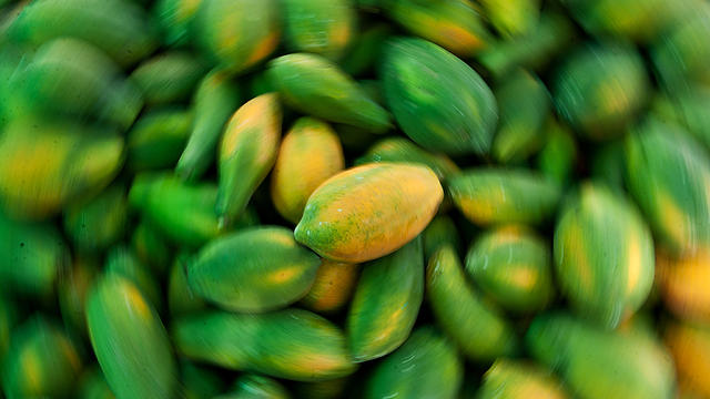 papayas.jpg 