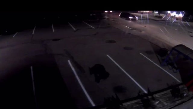 bear-in-sharpsburg.jpg 