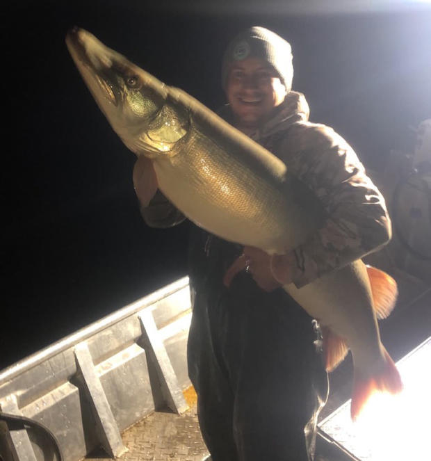 'We Will Never Know': Uncertified World Record Muskie Boated, Released In Mille Lacs Lake 