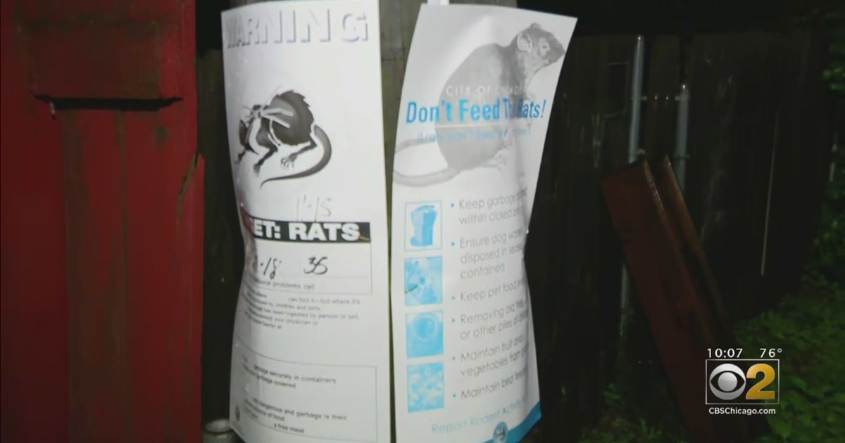15th Ward Alderman Says Fourth Of July Celebrations Could Worsen ...