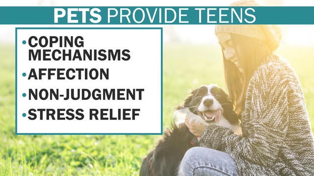 0704-ctm-benefitsofpetsqa-damour-1885842-640x360.jpg 