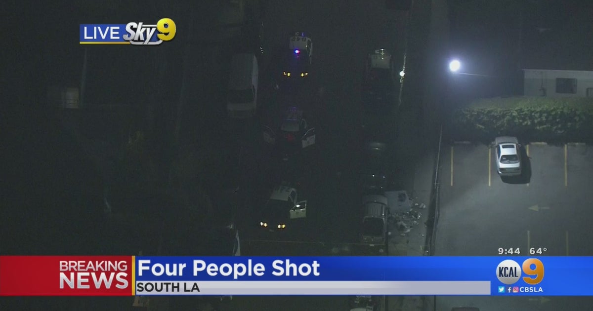 3 Adults, Child Transported To Hospital Following South LA Shooting ...