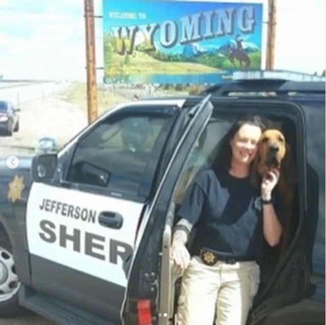bloodhound jeffco sheriff 