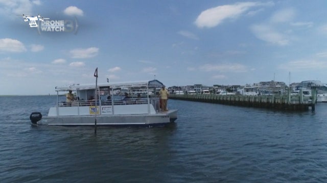 lbi-ferry.jpg 