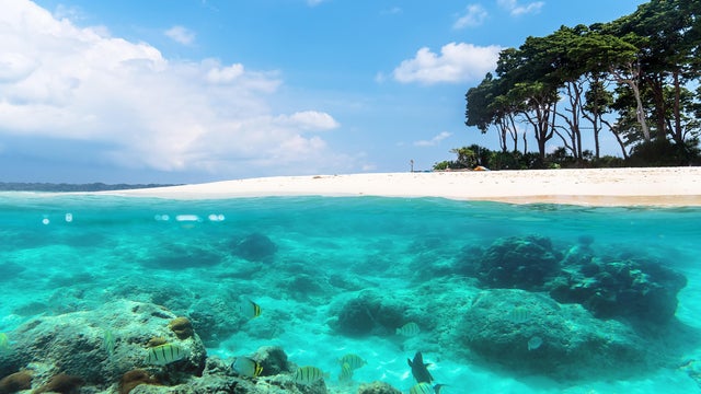 The concept of snorkeling and diving 