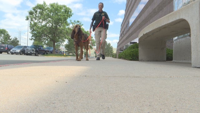 JEFFCO DEPUTY HELPS FIND MISSING KID 5PKG_frame_218 