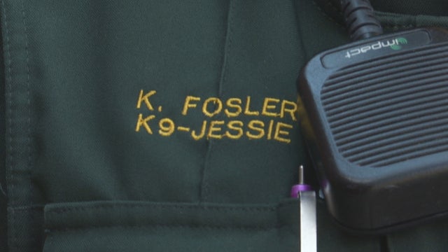 JEFFCO DEPUTY HELPS FIND MISSING KID 5PKG_frame_1103 