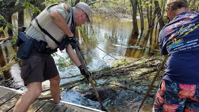 bald-eagle-rescue.jpg 