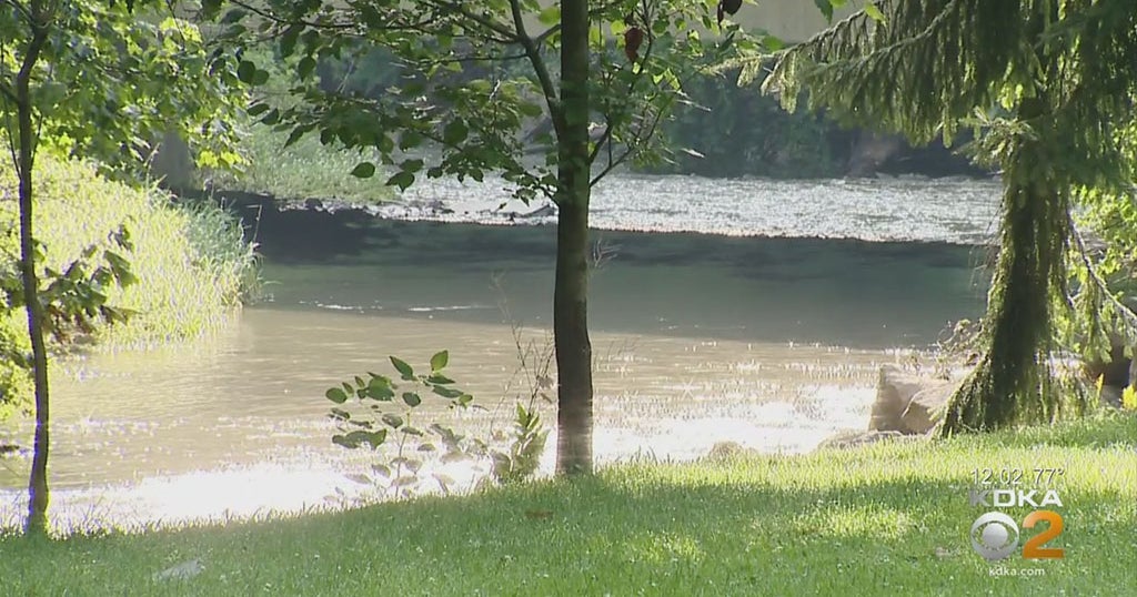 Neighbors In Moon Township Fed Up With Creek Flooding Their Homes CBS