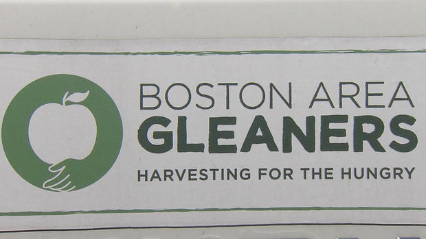 boston area gleaners 