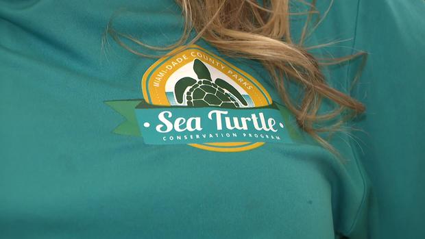 Sea Turtle Conservation Program Shirt 