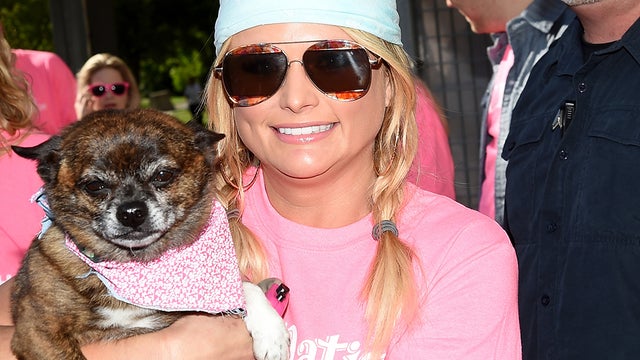 miranda-lambert-dog.jpg 