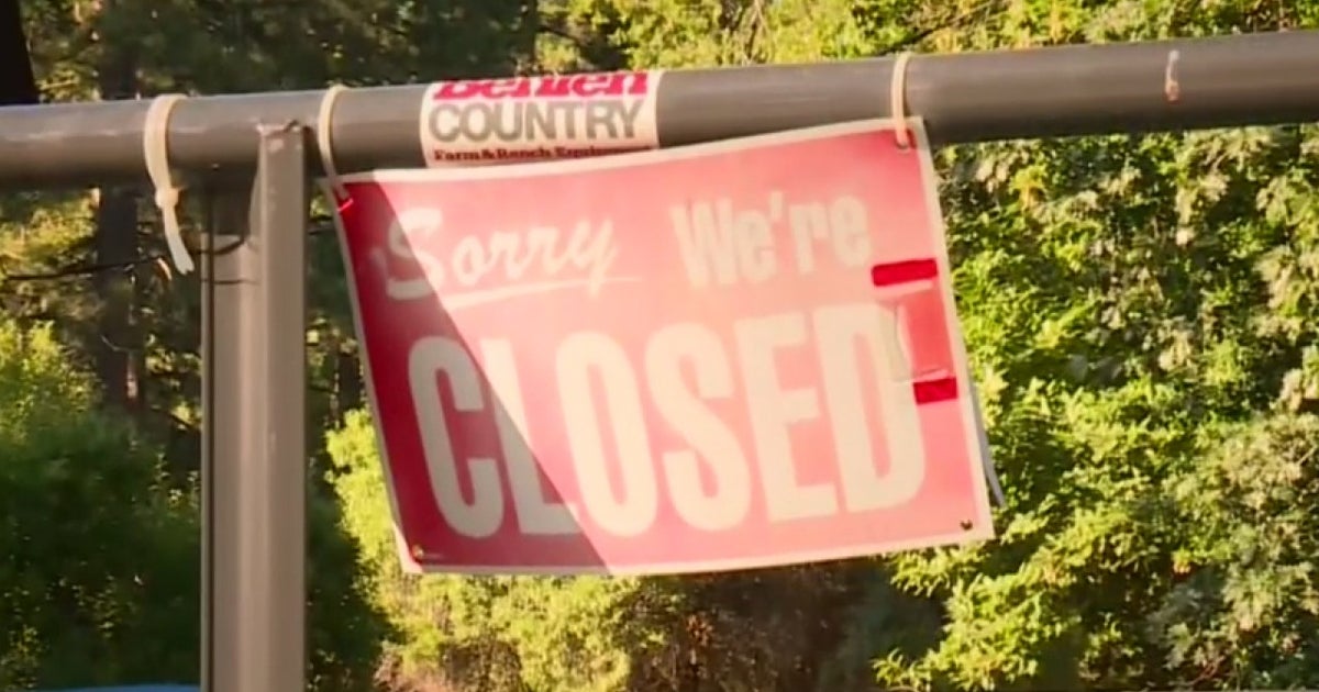 'A Victim Of Its Own Success' Daffodil Hill Closes Indefinitely CBS