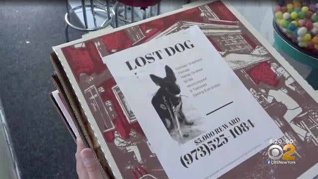 0718-cbsn-social-pizzapet-1894019-640x360.jpg 