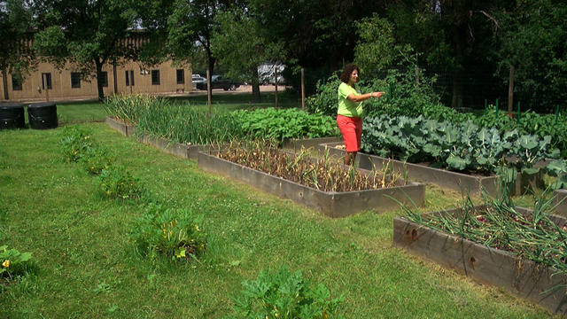 food-shelf-garden.jpg 