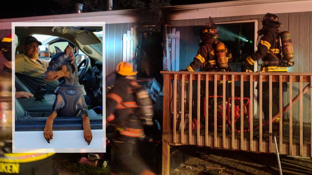 dog-saves-owner-from-mobile-home-fire-featured.jpg 
