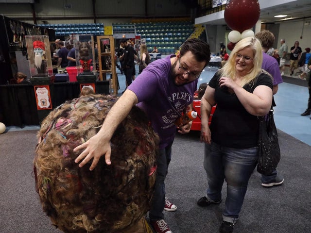 jake-barlow-oddities-and-curiosities-expo-2.jpg