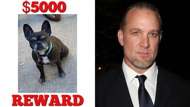 jesse-james-coco-dog.jpg 