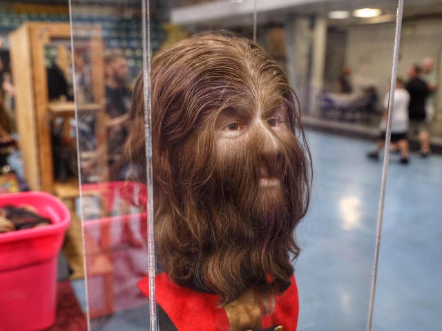 jake-barlow-oddities-and-curiosities-expo-28.jpg