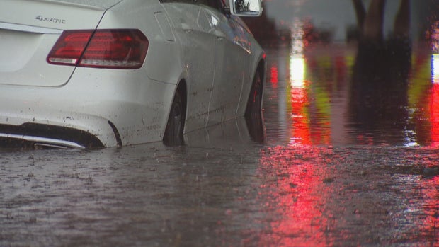 WEEKEND STORMS 10PKG.transfer_frame_246